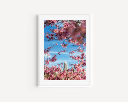 Charlotte Skyline in Spring | Charlotte Print - Departures Print Shop