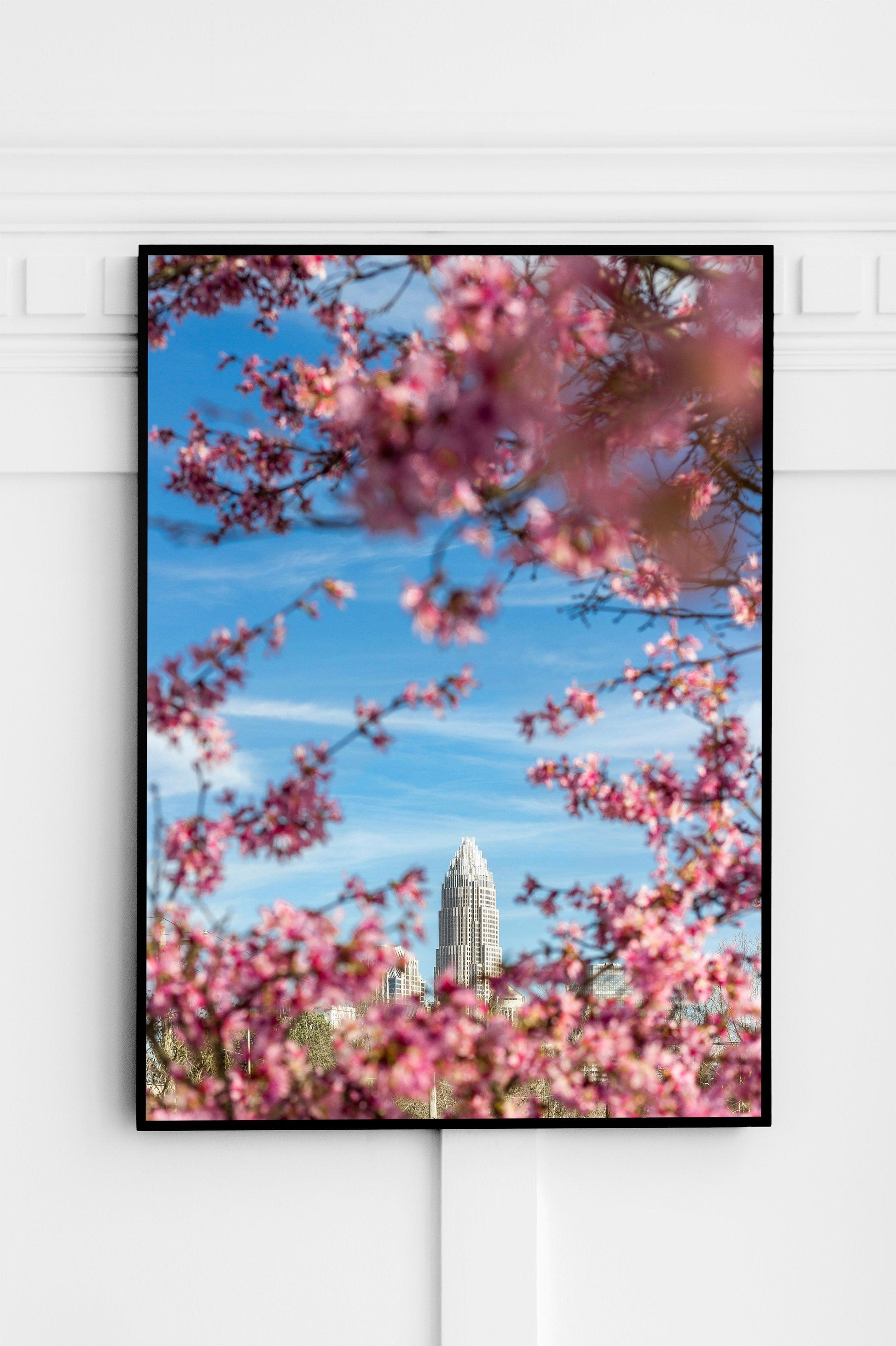 Charlotte Skyline in Spring | Charlotte Print - Departures Print Shop