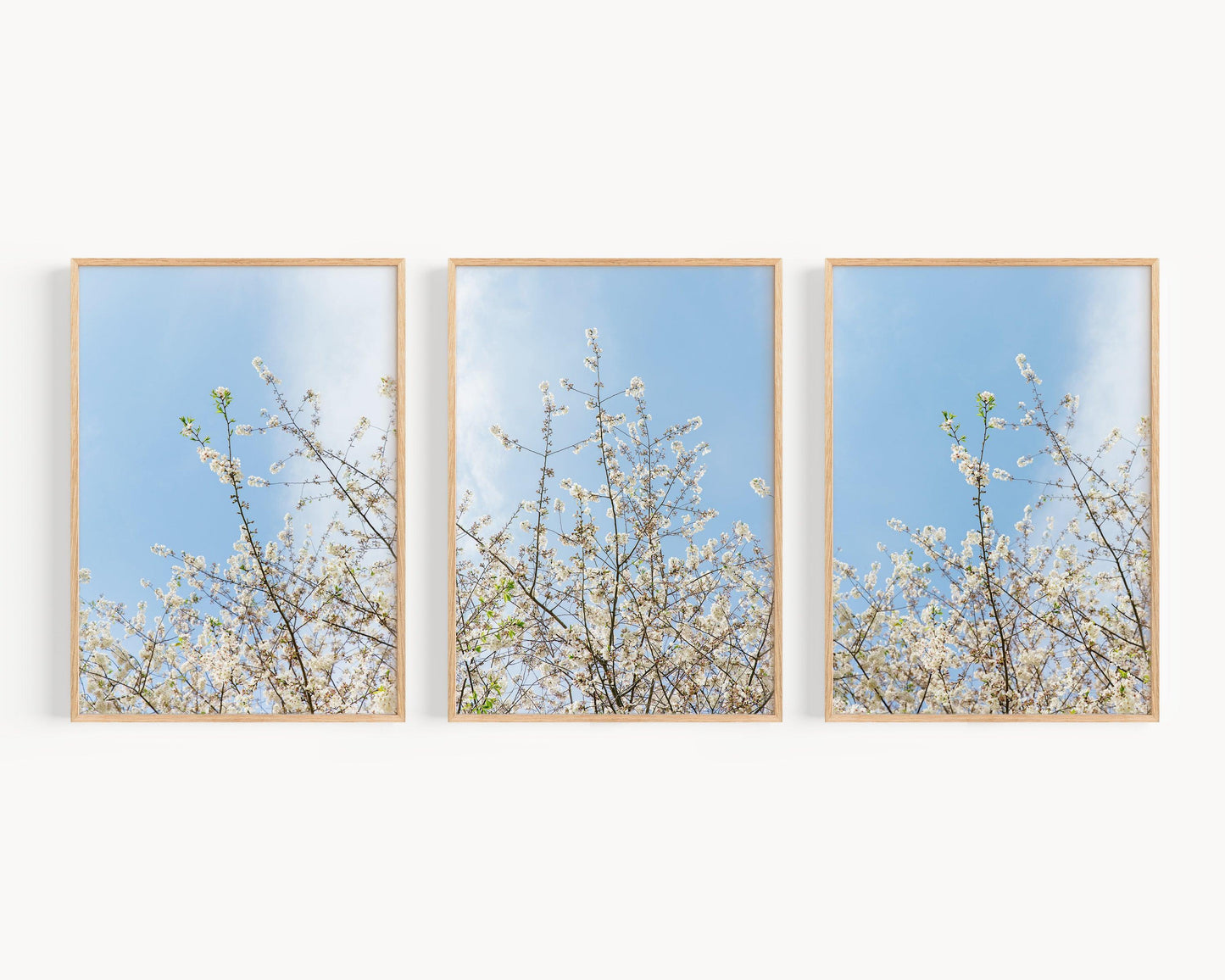 Cherry Blossom Print Set of Three | Floral Print - Departures Print Shop