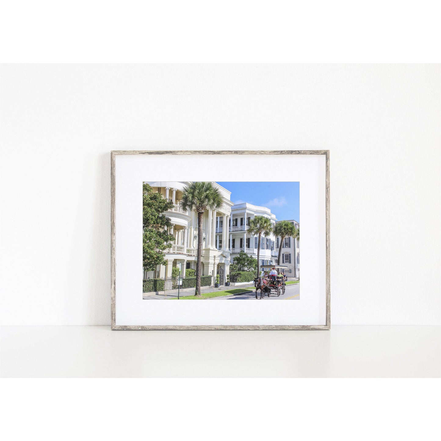 Historic Charleston Battery Print. Print of Charleston, South Carolina. Charleston photography with horse-drawn carriage 