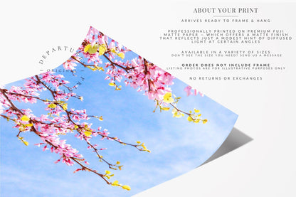 Pink Cherry Blossoms | Floral Print - Departures Print Shop