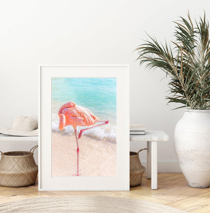 Pink Flamingo II | Beach Print - Departures Print Shop