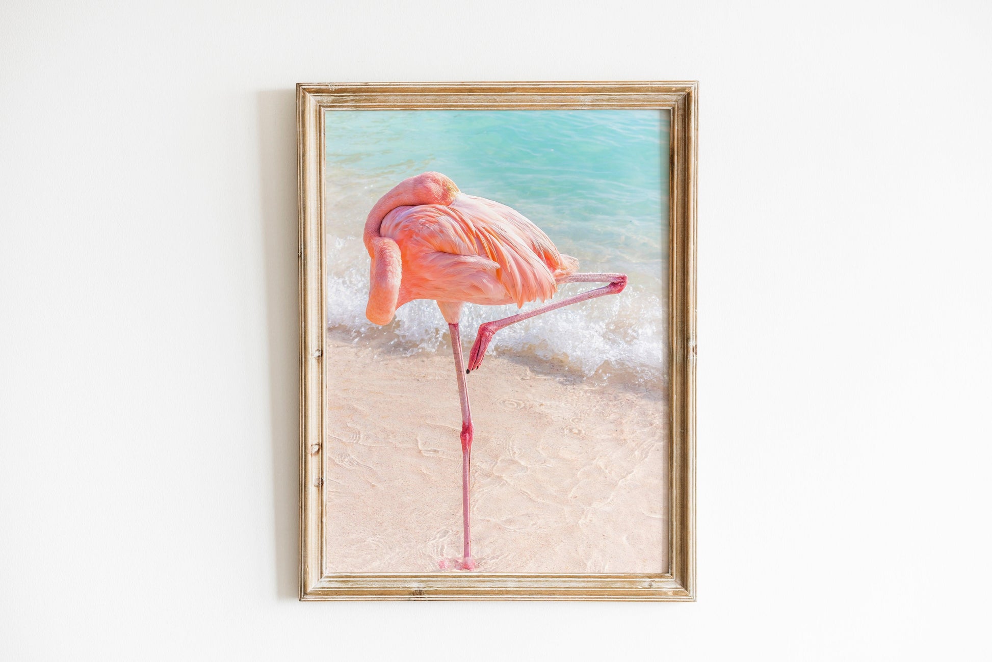 Pink Flamingo II | Beach Print - Departures Print Shop