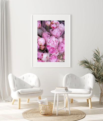 Pink Peonies | Floral Photography Print - Departures Print Shop