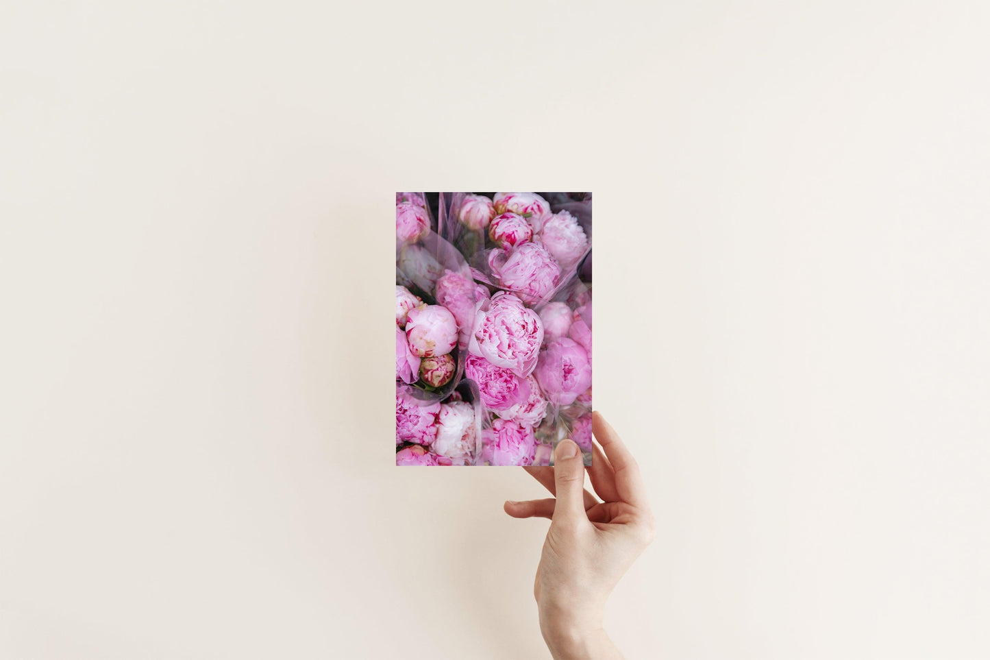 Pink Peonies | Floral Photography Print - Departures Print Shop