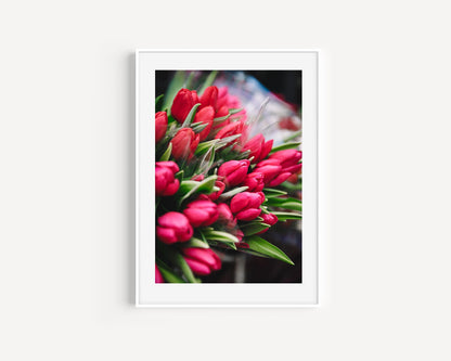 Pink Tulips | Floral Photography Print - Departures Print Shop