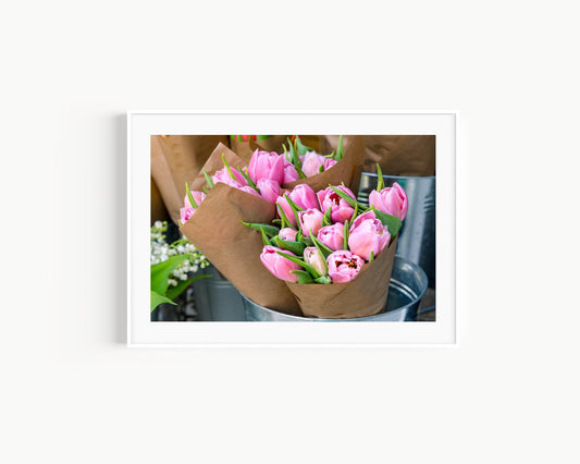 Pink Tulips II | Floral Photography Print - Departures Print Shop