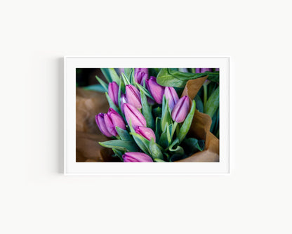 Purple Tulips II | Floral Photography Print - Departures Print Shop