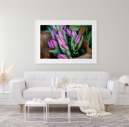 Purple Tulips II | Floral Photography Print - Departures Print Shop