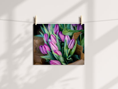 Purple Tulips II | Floral Photography Print - Departures Print Shop