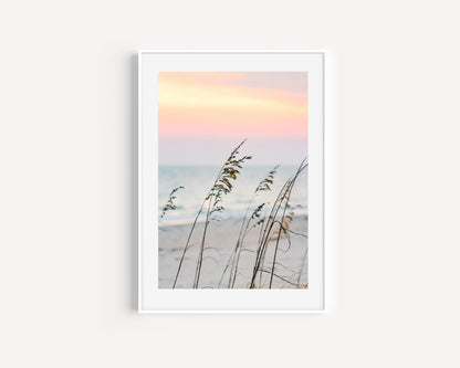 Sea Oats | Beach Print - Departures Print Shop