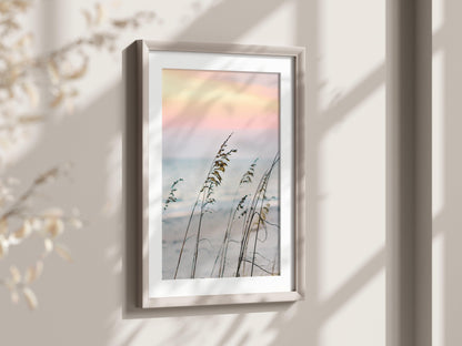 Sea Oats | Beach Print - Departures Print Shop