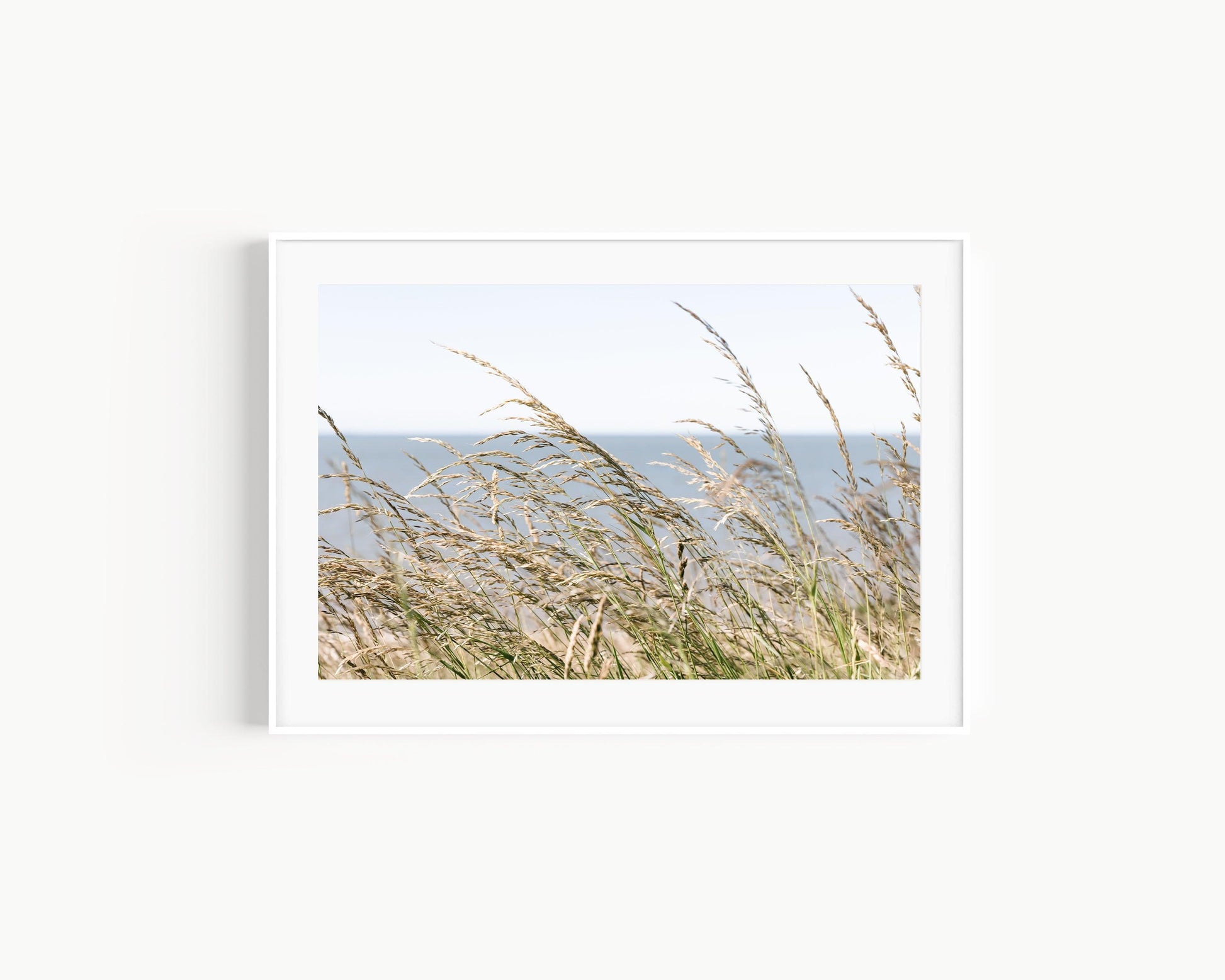 Sea Oats | Neutral Beach Print - Departures Print Shop