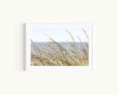 Sea Oats | Neutral Beach Print - Departures Print Shop