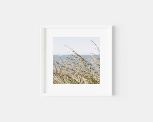 Sea Oats | Square Beach Print - Departures Print Shop