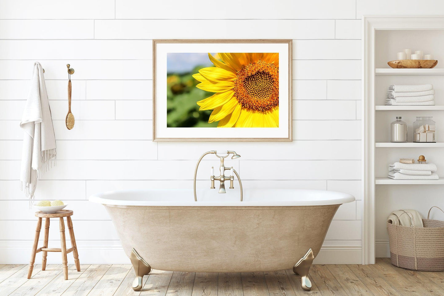 Sunflower | Floral Photography Print - Departures Print Shop